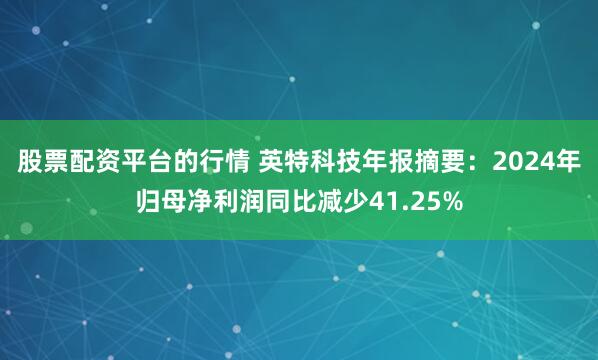 股票配资平台的行情 英特科技年报摘要：2024年归母净利润同比减少41.25%