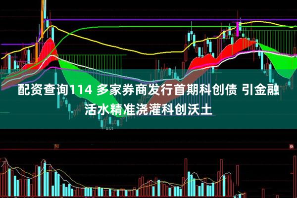 配资查询114 多家券商发行首期科创债 引金融活水精准浇灌科创沃土