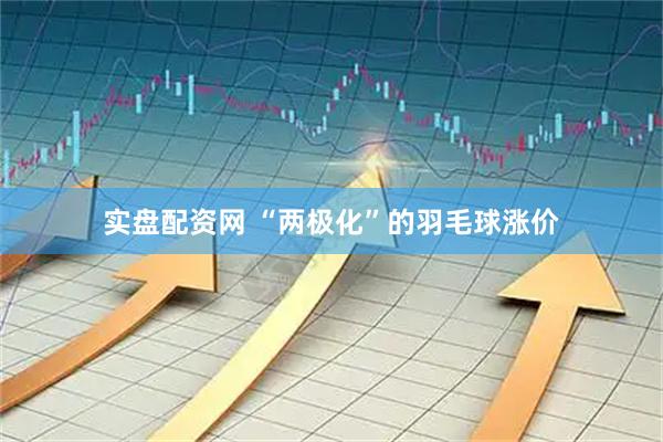 实盘配资网 “两极化”的羽毛球涨价