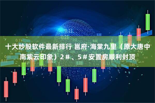 十大炒股软件最新排行 邕府·海棠九里（原大唐中南紫云印象）2＃、5＃安置房顺利封顶